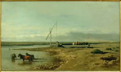 Koryta w Pusztaniu